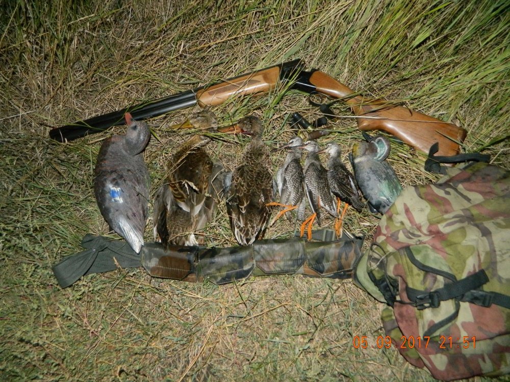 Крякаш,соксун и турухтаны.