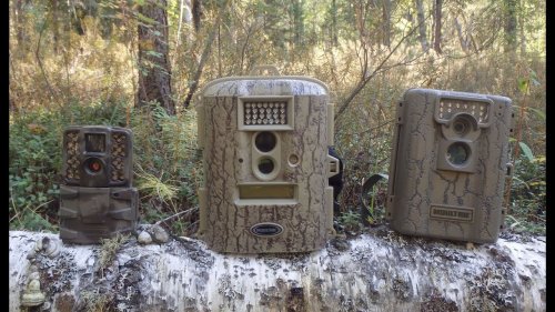 Мои фотоловушки фирмы MOULTRIE. Обзор.