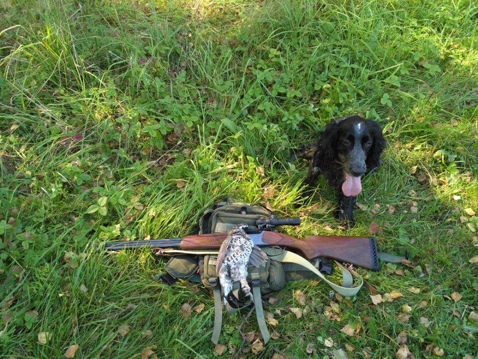 На манок