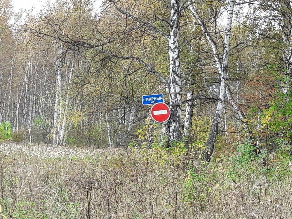 Пасечники-юмористы