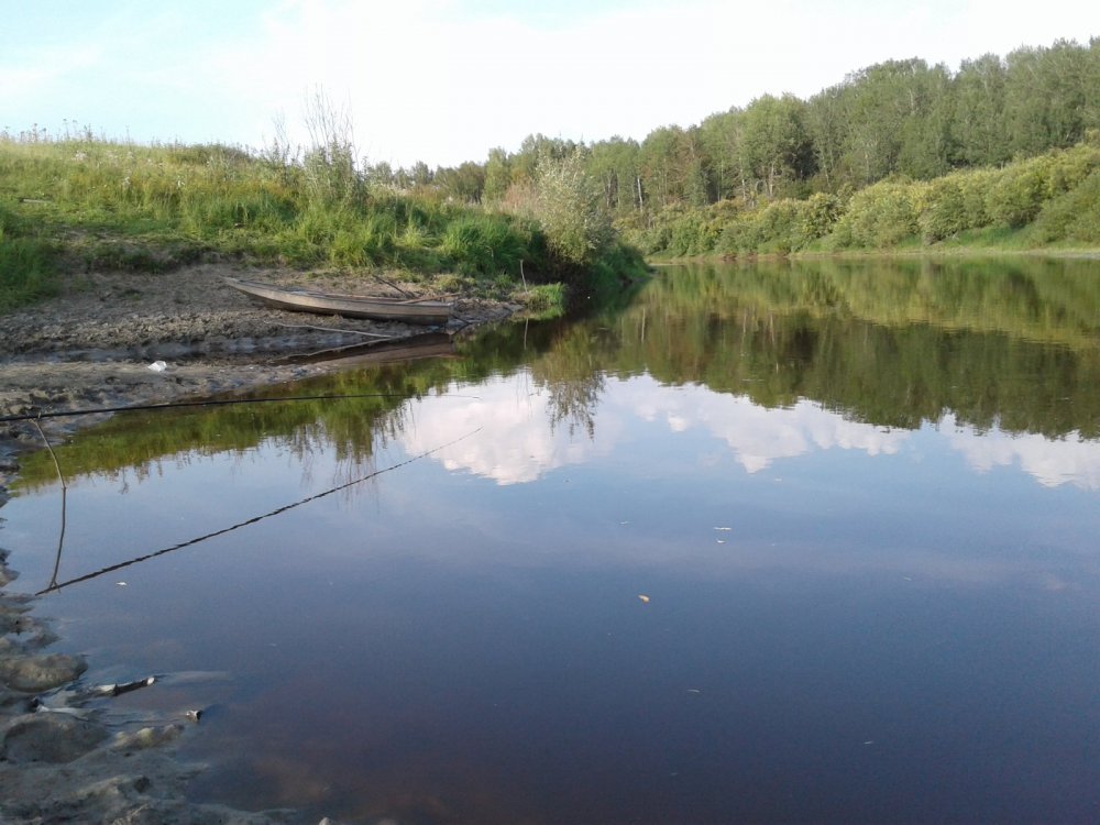 Село северное. Река Тартас Новосибирской области. Река Тартас Северное. Река Тартас Северное Новосибирская область. Река Тартас Новосибирской области Венгерово.