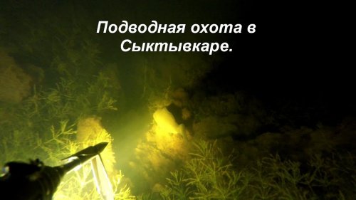 Подводная охота в Сыктывкаре  2017. Карась, щука, окунь.