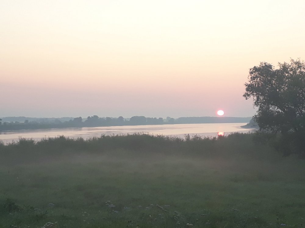 Туманное утро
