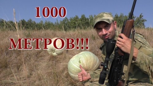 Вепрь-308 на 1000 метров попал в тыкву!!!