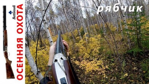 Охота на рябчика в Красноярском крае. Осенний лес. Охота выходного дня