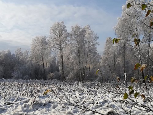 Сентябрьская зима