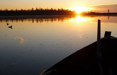 Смотрю на просеку судьбы.