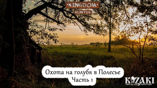 Охота на голубя в Полесье.  Часть 1