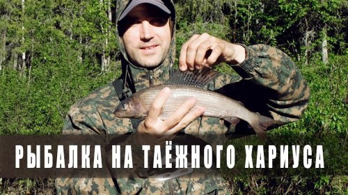 Рыбалка на хариуса / Ловля хариуса на блесну / Серия 1-2
