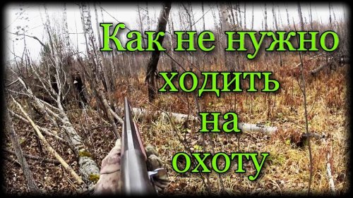 Раненый охотник или как не нужно ходить на охоту! Начинающим охотникам смотреть обязательно!
