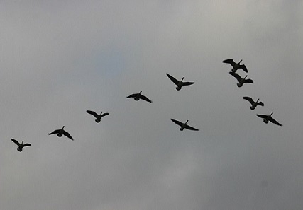 Охота поздней осени. (окончание)