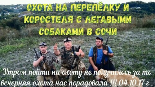 Охота на перепёлку и коростеля с легавыми собаками в Сочи 04.10.2017 г .