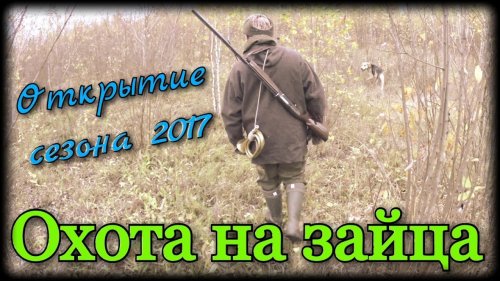 Охота на зайца с русскими гончими. Открытие сезона 2017