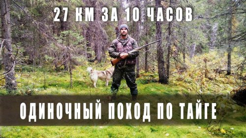 Одиночный поход в лес. Пройдено 27 км.