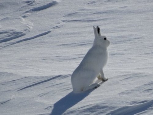 Аф..фтор жжёт.