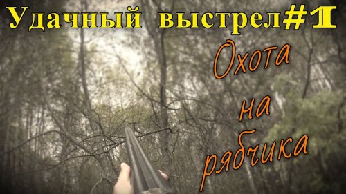 Удачный выстрел#1. Охота на рябчика с русским спаниелем.