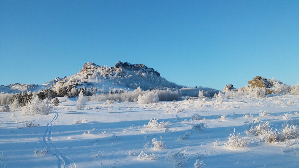 Змеиногорский Район Фото