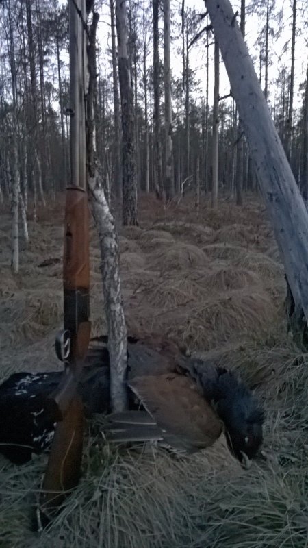 Певец