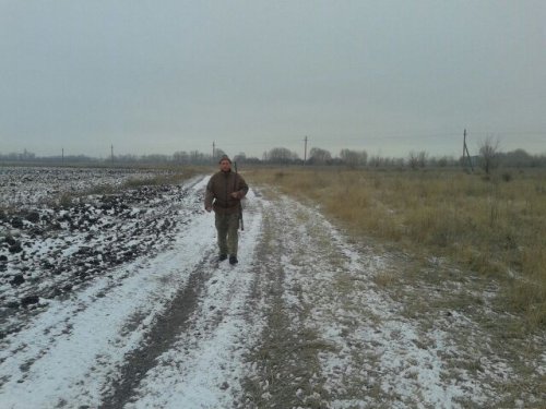 Не надо с ними что то делать...