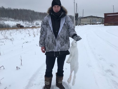 Тропление зайчика