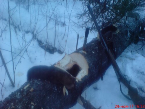 добыл!