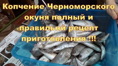 Копчение Черноморского окуня правильный и полный рецепт приготовления