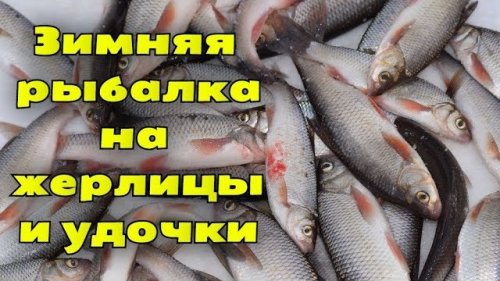 Зимняя рыбалка. Жерлицы на щуку зимой. Ловля чебака зимой на мормышку.