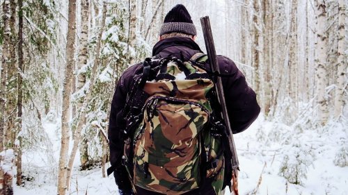 Сказочная тайга. Поход в лес. Лесная жизнь. Пролог