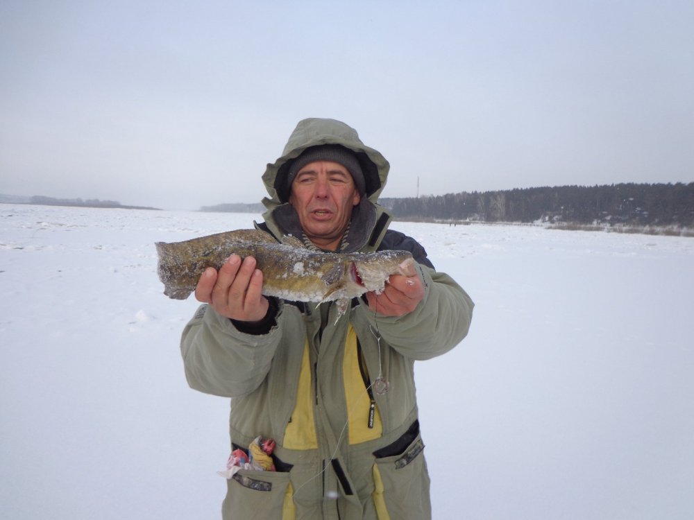 Скользкий змей.