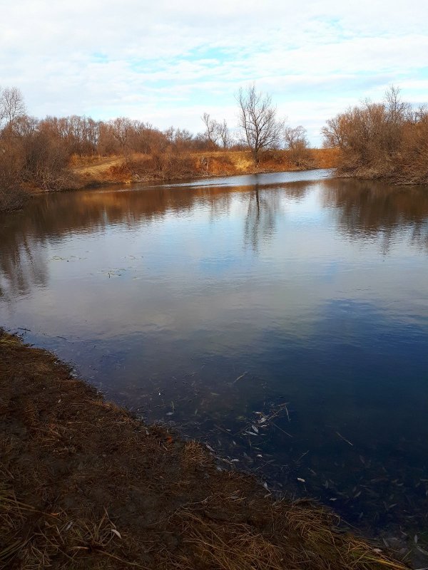 Еще р.Уень