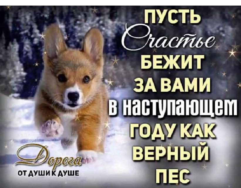 С НАСТУПАЮЩИМ НОВЫМ ГОДОМ!!!