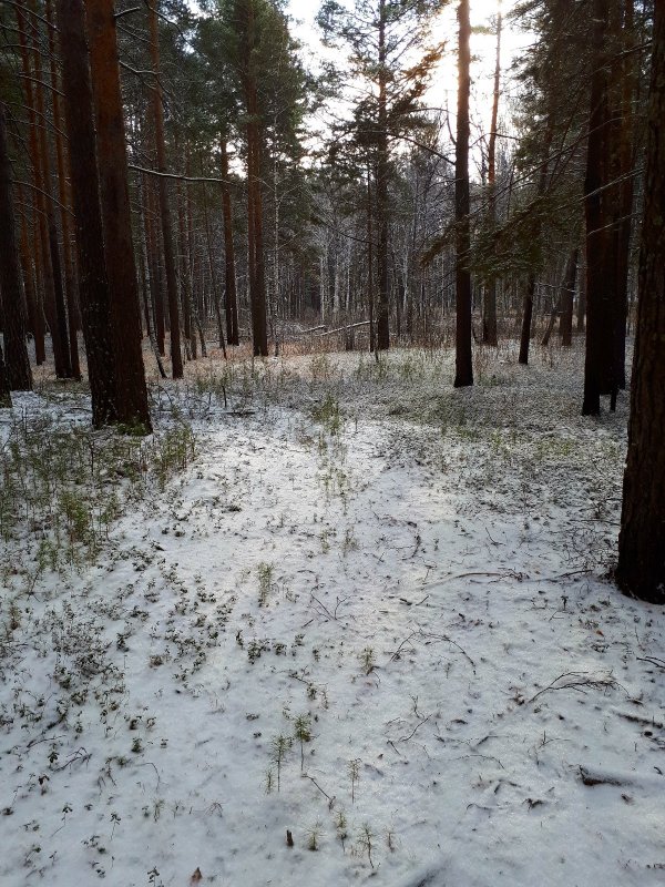 Каракан