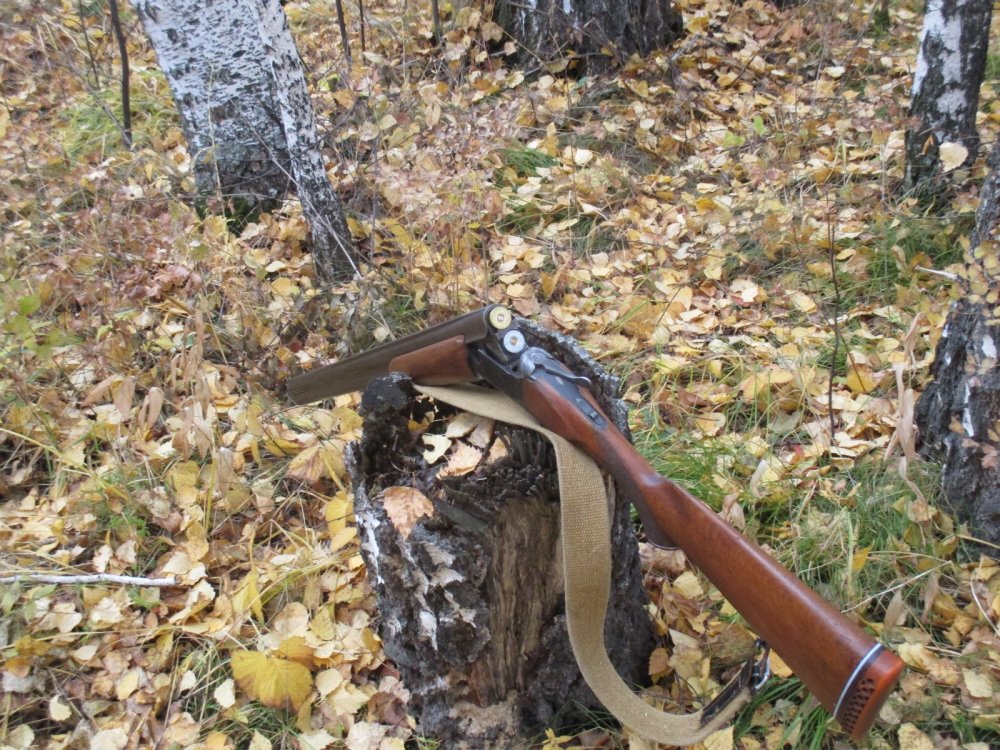 Сибирский охотник. Сибирские охотничьи ружья. Оружие Сибирский охотник. Охотничье ружье Сибири. Охотник с ружьем в руках.