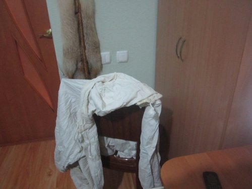 Забавные новогодние "охоты"...