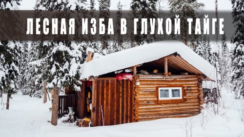 Лесная изба. На снегоходах в далёкую избу.