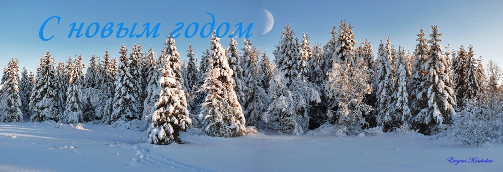 с новым годом