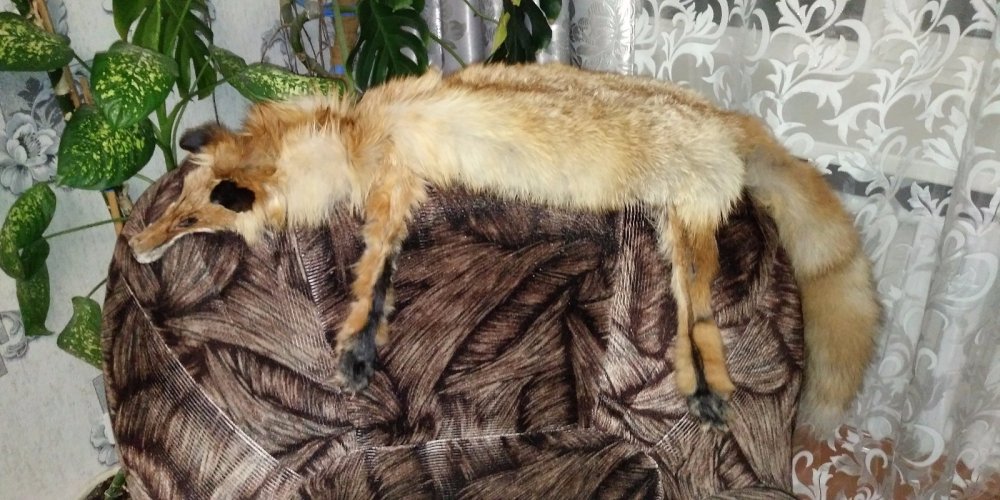 ЛисОвин
