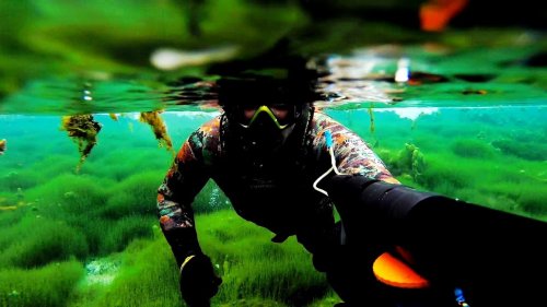 Под водой. GoPro HERO  another world. Не, подводная охота.