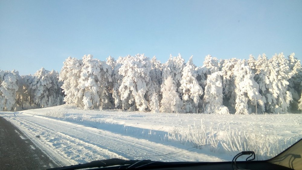 Красота сибирской природы