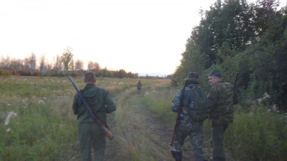 идем на озеро)