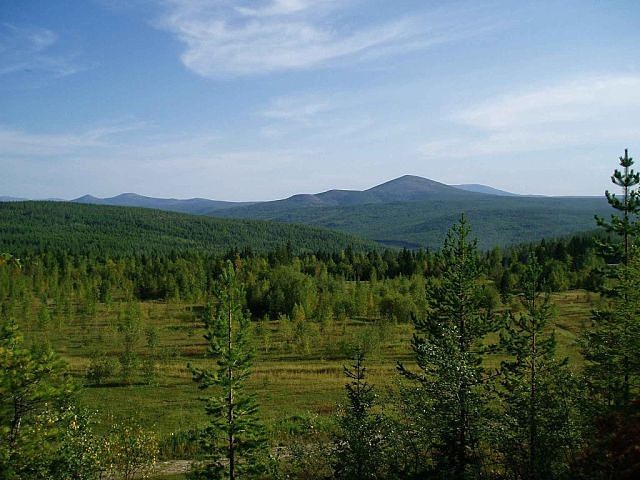 Ороченская поляна. Голец Горелый.