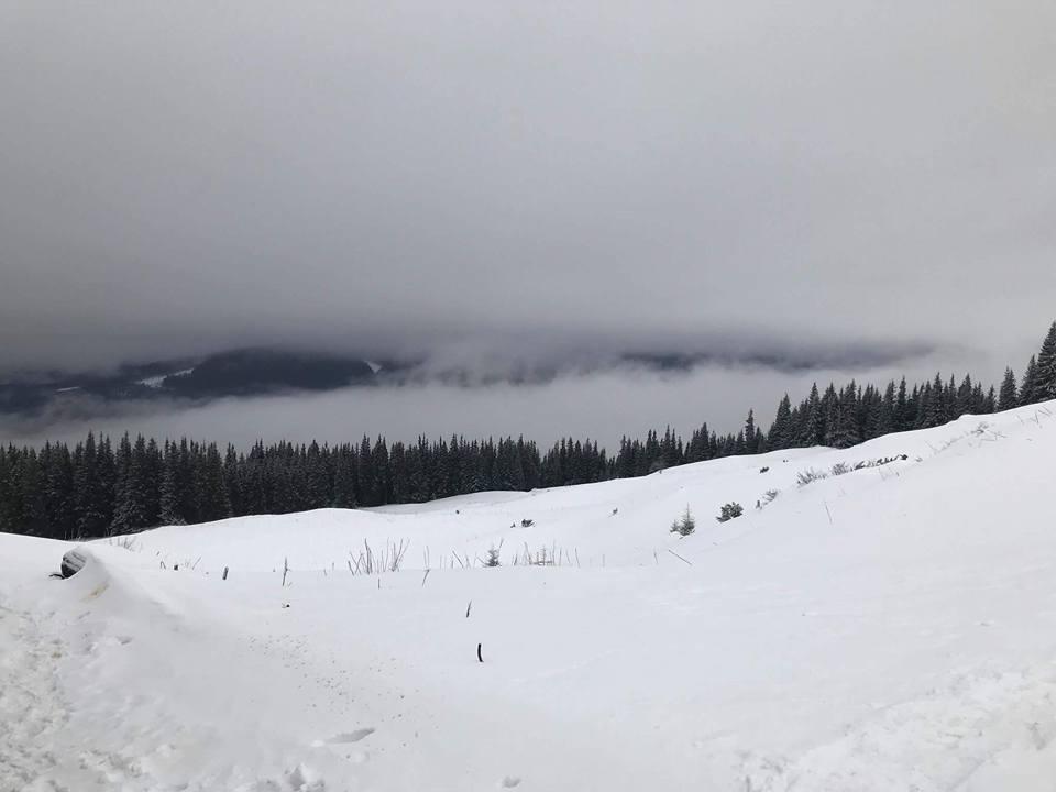 далеко
