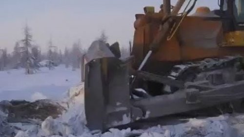 Рабочие в Якутии спасают росомаху.