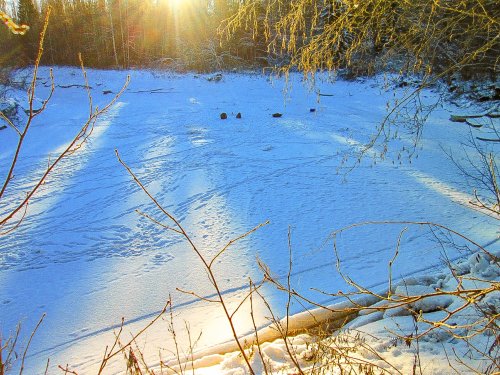 Зимняя речка Мошня.