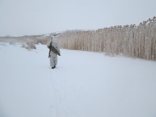 Не в понедельник,так во вторник.