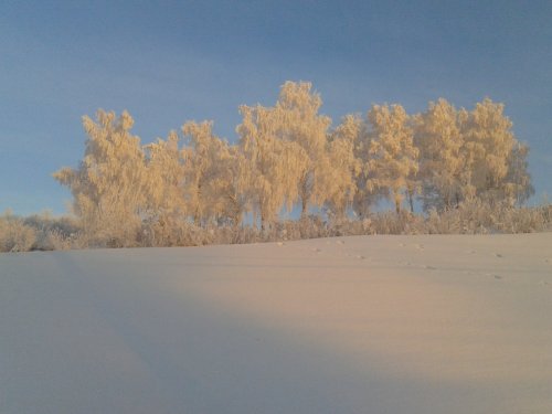 Мороз давит ...