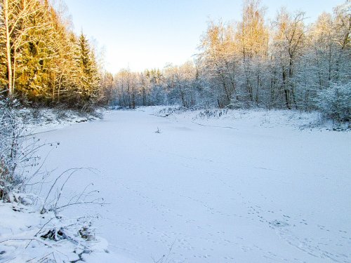 Зимняя речка Мошня.