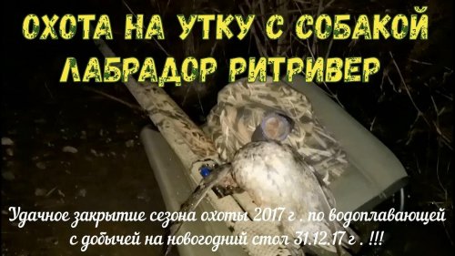 Охота на уток Удачное закрытие сезона 2017  с добычей на новогодний стол
