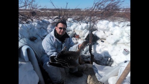 Лучшие моменты с весенней охоты на гуся.  Goose Hunting.