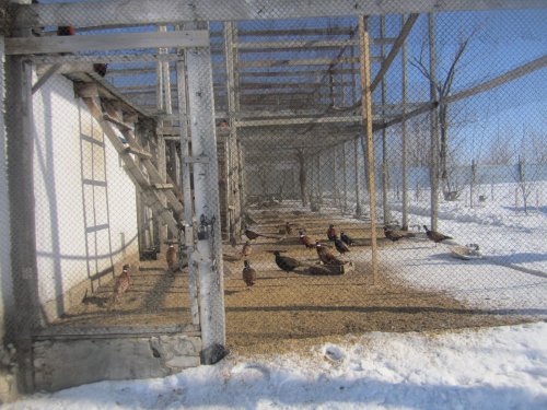 Не "серые" будни...